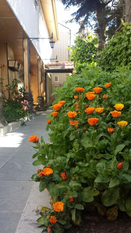 Hostal Parediso Пунта Аренас Екстериор снимка